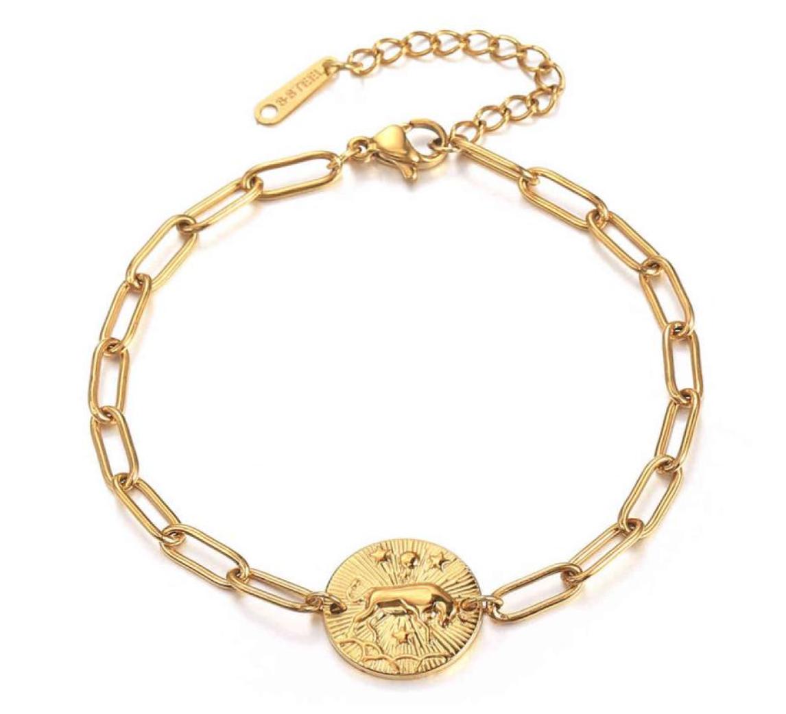 Vintage Women039s Zodiac Sign Bracelets 12 Constellations Coin Charm Paperclip Link Chain Adjustable Engagement Gift Db3346667649
Vintage Women039s Zodiac Sign Bracelets 12 Constellations Coin Charm Paperclip Link Chain Adjustable Engagement Gift Db3346667649