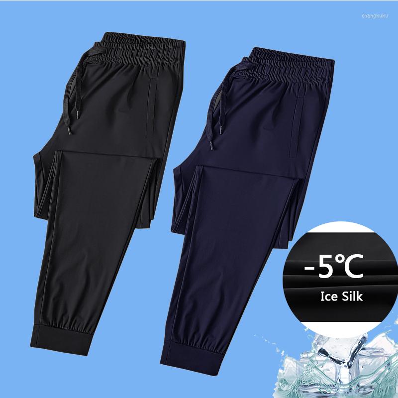 Men's Pants Summer Thin Casual Elasticity Solid Sports Mens Ice Silk Soft Loose Slim Quick-dry Trousers Running Sweatpants Streetwear, Black
Men's Pants Summer Thin Casual Elasticity Solid Sports Mens Ice Silk Soft Loose Slim Quick-dry Trousers Running Sweatpants Streetwear, Black