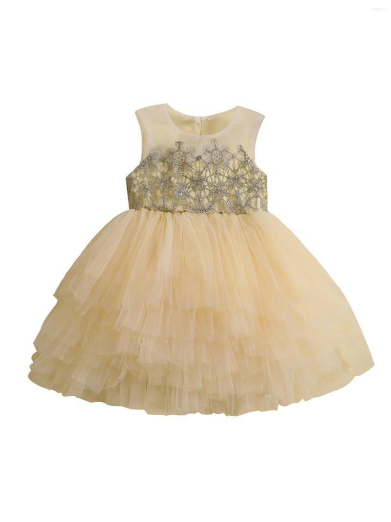 Girl Dresses Toddle Girls Tutu Floral Round Neck Sleeveless Layered Tulle Casual Playwear Party Street Princess Dress, Apricot
Girl Dresses Toddle Girls Tutu Floral Round Neck Sleeveless Layered Tulle Casual Playwear Party Street Princess Dress, Apricot