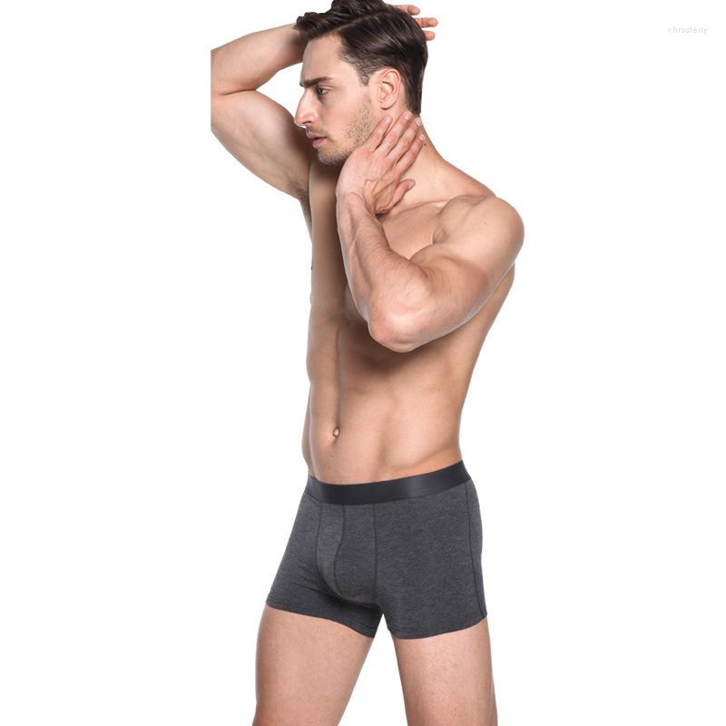 Underpants 2023 High Quality Men's Boxers Pure Fine Textile Modal Straight Angle Pants U Protruding Male Underwear
Underpants 2023 High Quality Men's Boxers Pure Fine Textile Modal Straight Angle Pants U Protruding Male Underwear