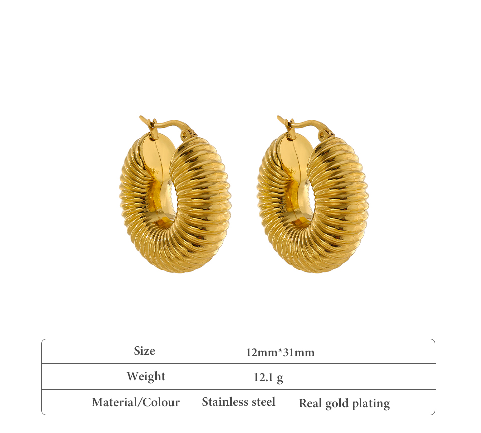 Round Chunky Hoop Earrings Gold Stainless Steel Bijoux Ete Jewlery New Metal Accessories Waterproof