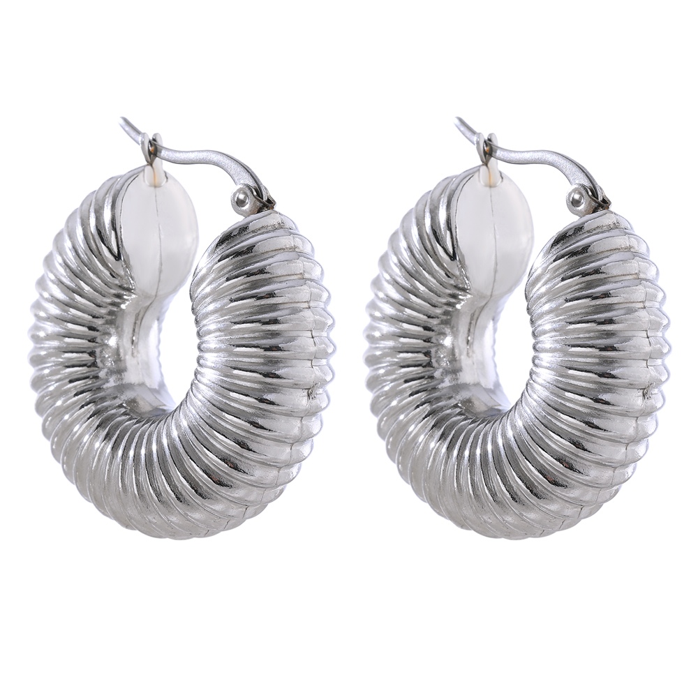 Round Chunky Hoop Earrings Gold Stainless Steel Bijoux Ete Jewlery New Metal Accessories Waterproof