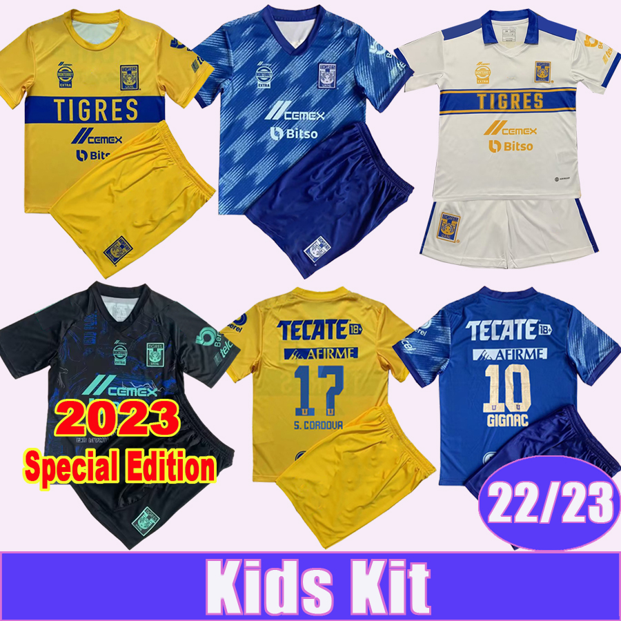 2023 Tigres de la UANL Kids Kit Soccer Jerseys Special Edition 22 23 HUGO GIGNAC LOPEZ D. REYES PIZARRO AQUINO L. QUINONES F. THAUVIN Home Away 3rd Football Shirts, Tz8979 22 23 away no socks
2023 Tigres de la UANL Kids Kit Soccer Jerseys Special Edition 22 23 HUGO GIGNAC LOPEZ D. REYES PIZARRO AQUINO L. QUINONES F. THAUVIN Home Away 3rd Football Shirts, Tz8979 22 23 away no socks