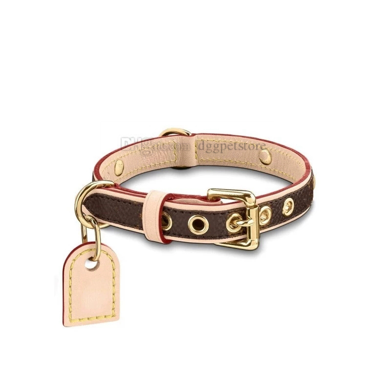 Classic Old Flower Designer Dog Collars Leashes Set Fashion Brand Dogs Collar Adjustable Puppy Belt Leash Pet Outdoor Running Training Necklace Rope Tie Brown S B61