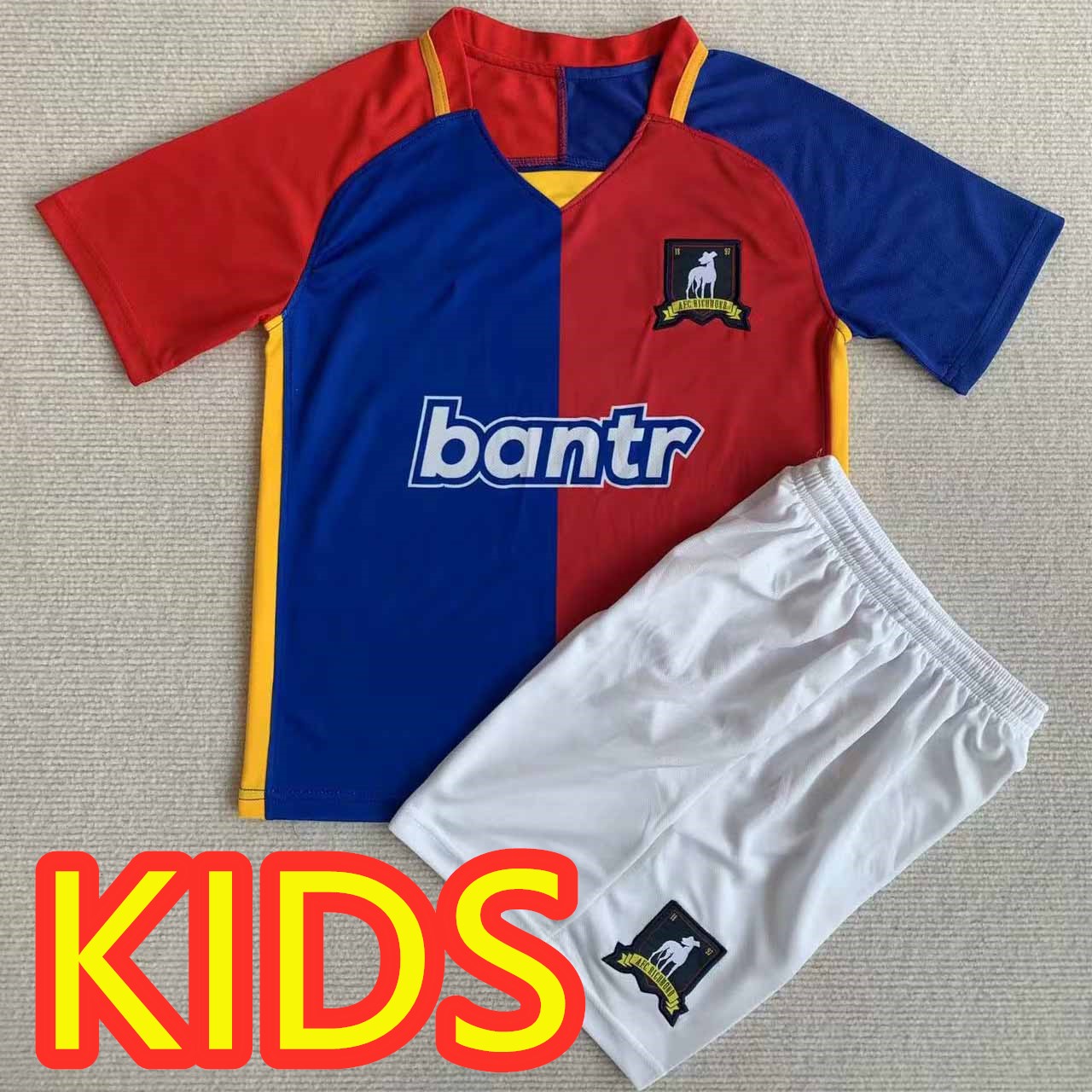 2023 2024 AFC Richmond KENT TARTT ROJAS Soccer Jerseys KIDS KIT OBISANYA Led Lasso best quality Hughes Montlaur Training jersey camiseta football shirt uniforms, Home
2023 2024 AFC Richmond KENT TARTT ROJAS Soccer Jerseys KIDS KIT OBISANYA Led Lasso best quality Hughes Montlaur Training jersey camiseta football shirt uniforms, Home