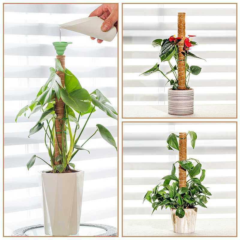 Other Garden Supplies Plant Support Moss Pole Coir Climbing Stakes Bendable Extension for Indoor Monstera Green Dill Vine Climbing Plant Garden Access