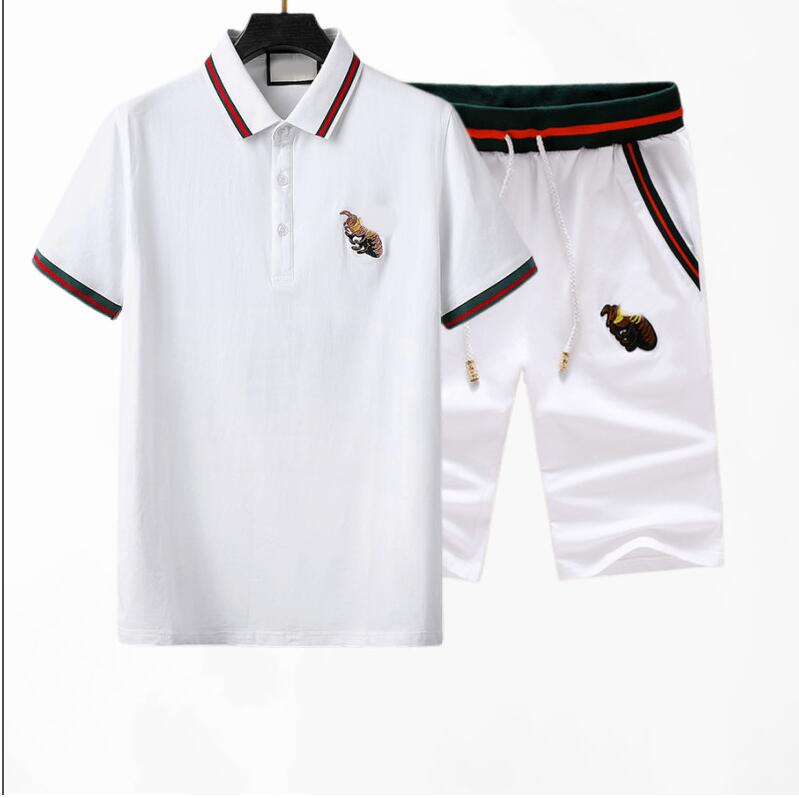 Thick mens tracksuit summer quick drying set t shirt trapstar tracksuit sports student training set, track and field men running set basketball sportswear Asian size
Thick mens tracksuit summer quick drying set t shirt trapstar tracksuit sports student training set, track and field men running set basketball sportswear Asian size