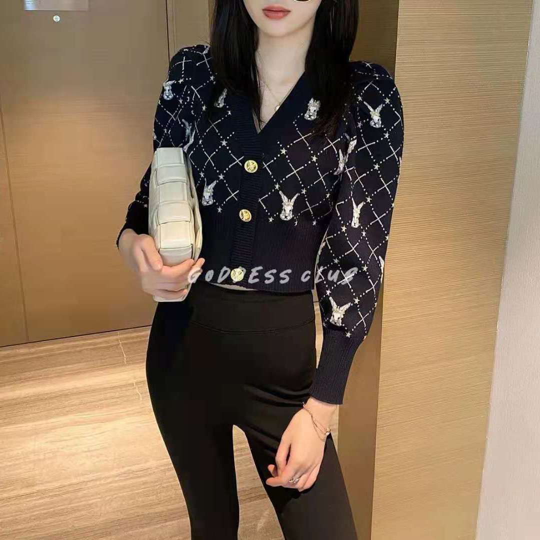 Womens v-neck cute rabbits jacquard weave pattern sweaters single breasted high waist short cardigan tops SMLXLXXL