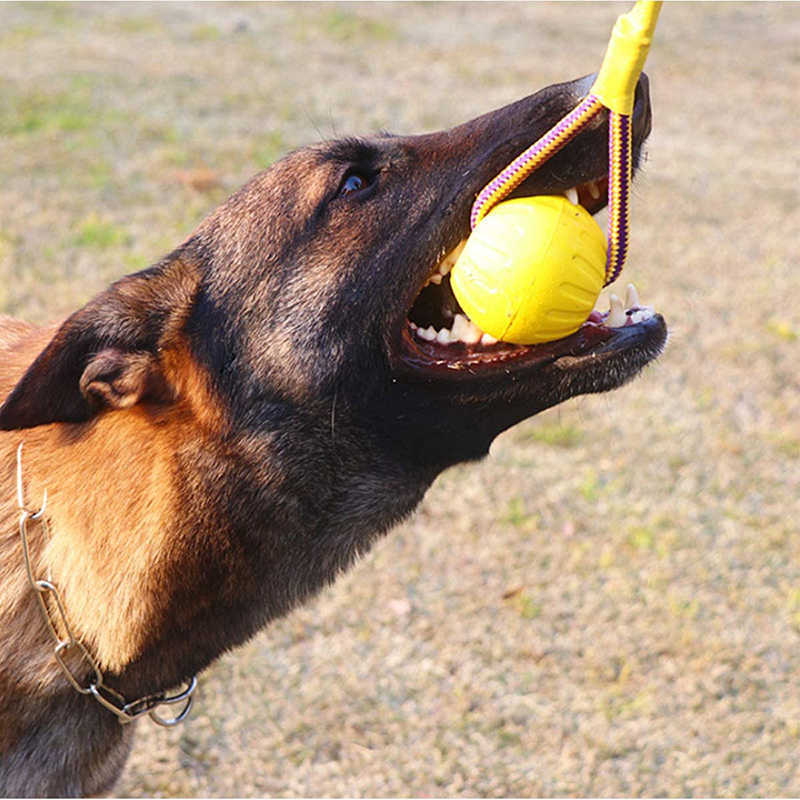 Dog Interactive Toys Chews Rope Ball Toy For Play Chewing Training Portable EVA Pet Supplies Small Large G230520 H250210