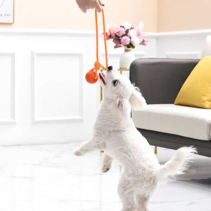 Dog Interactive Toys Chews Ball Indestructible Chew Bouncy Rubber Pet Toy with String for Big Puppy Games G230520 H250210