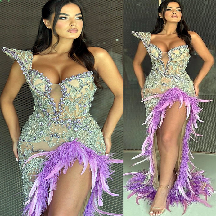 2023 May Aso Ebi Lilac Mermaid Prom Dress Beaded Crystals Feather Evening Formal Party Second Reception Birthday Engagement Gowns Dress Robe De Soiree ZJ332, Gold
2023 May Aso Ebi Lilac Mermaid Prom Dress Beaded Crystals Feather Evening Formal Party Second Reception Birthday Engagement Gowns Dress Robe De Soiree ZJ332, Gold