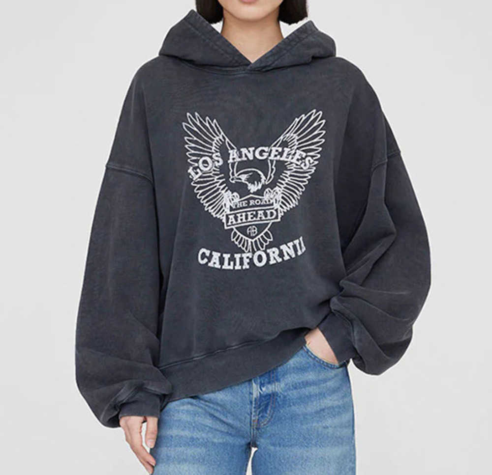 23AW ANINE BING ALEC Hooded Sweater Women Black White Eagle Print Hoodies Washed Pullover Jumper Sweatshirts, Dark grey
23AW ANINE BING ALEC Hooded Sweater Women Black White Eagle Print Hoodies Washed Pullover Jumper Sweatshirts, Dark grey