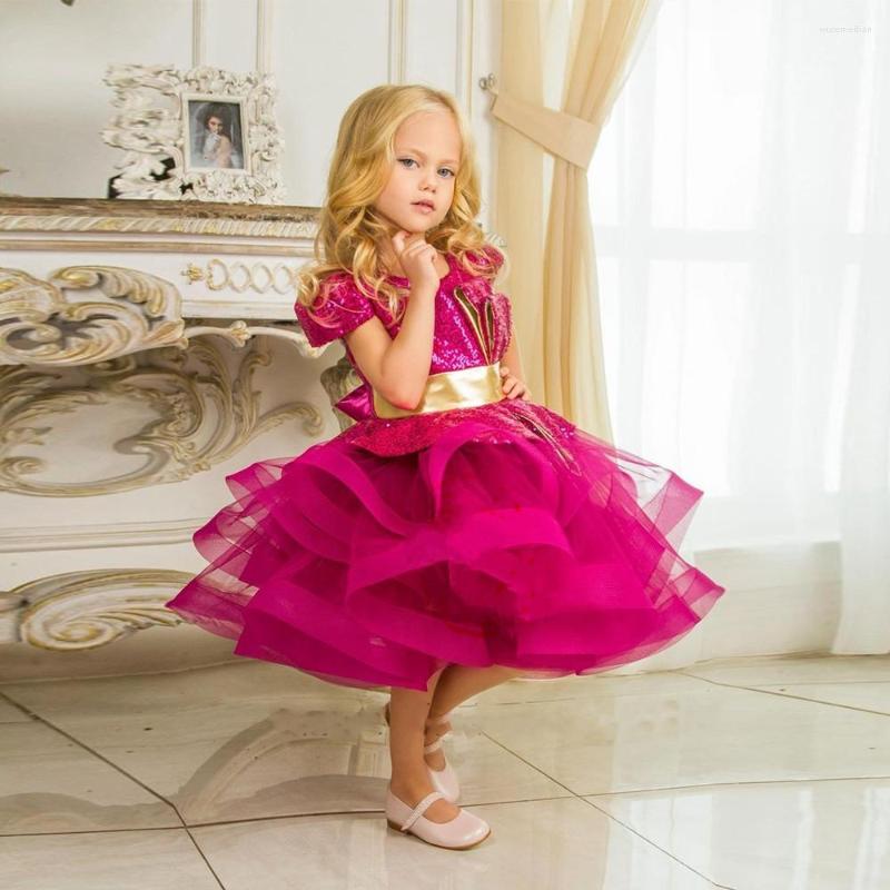 Girl Dresses Charming Rose Red Flower With Gold Belt Tiered Knee Length Birthday Party Gowns
Girl Dresses Charming Rose Red Flower With Gold Belt Tiered Knee Length Birthday Party Gowns