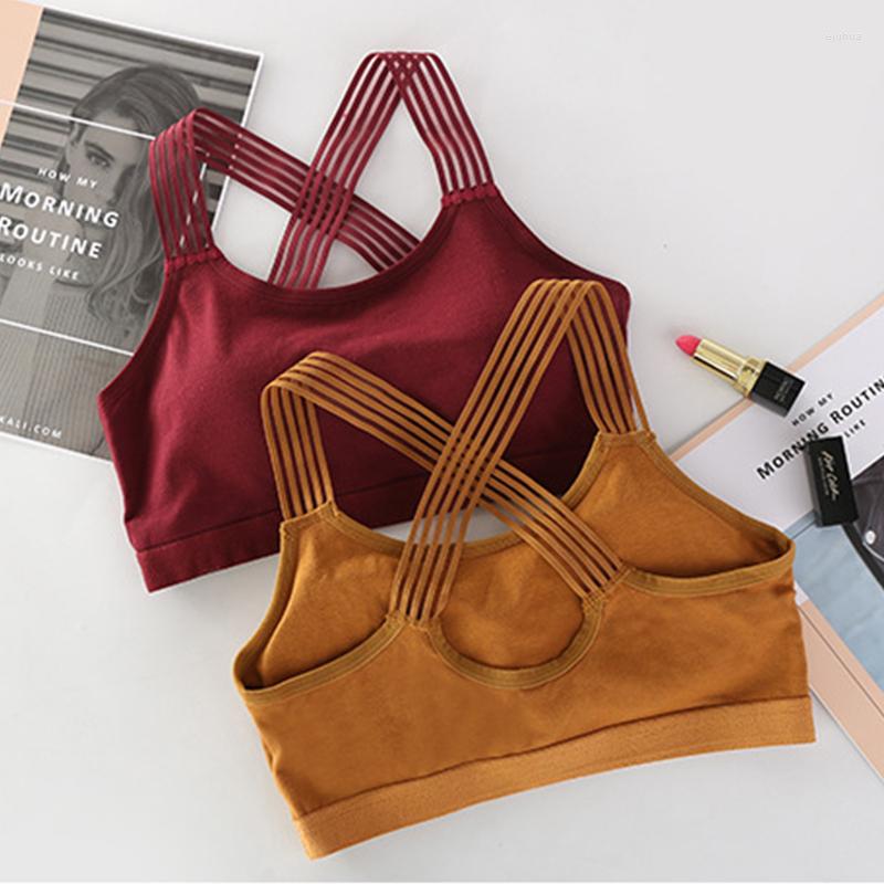 Yoga Outfit Girl Push Up Sport Bra Shockproof Seamless Breathable Anti-Sweat Fitness Gym Crop Top Women Sexy Underwear, White
Yoga Outfit Girl Push Up Sport Bra Shockproof Seamless Breathable Anti-Sweat Fitness Gym Crop Top Women Sexy Underwear, White