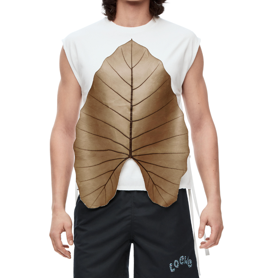 LOW2023WE men and women T-shirt high quality Anagram Alocasia Leaf sleeveless T-shirt in cotton, Photo
LOW2023WE men and women T-shirt high quality Anagram Alocasia Leaf sleeveless T-shirt in cotton, Photo