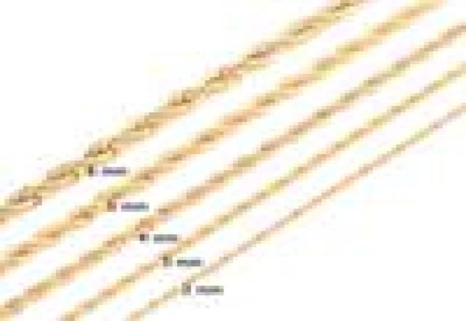 High Quality Gold Plated Rope Chain Stainless Steel Necklace For Women Men Golden Fashion ed Rope Chains Jewelry Gift 2 3 4 56143043
High Quality Gold Plated Rope Chain Stainless Steel Necklace For Women Men Golden Fashion ed Rope Chains Jewelry Gift 2 3 4 56143043