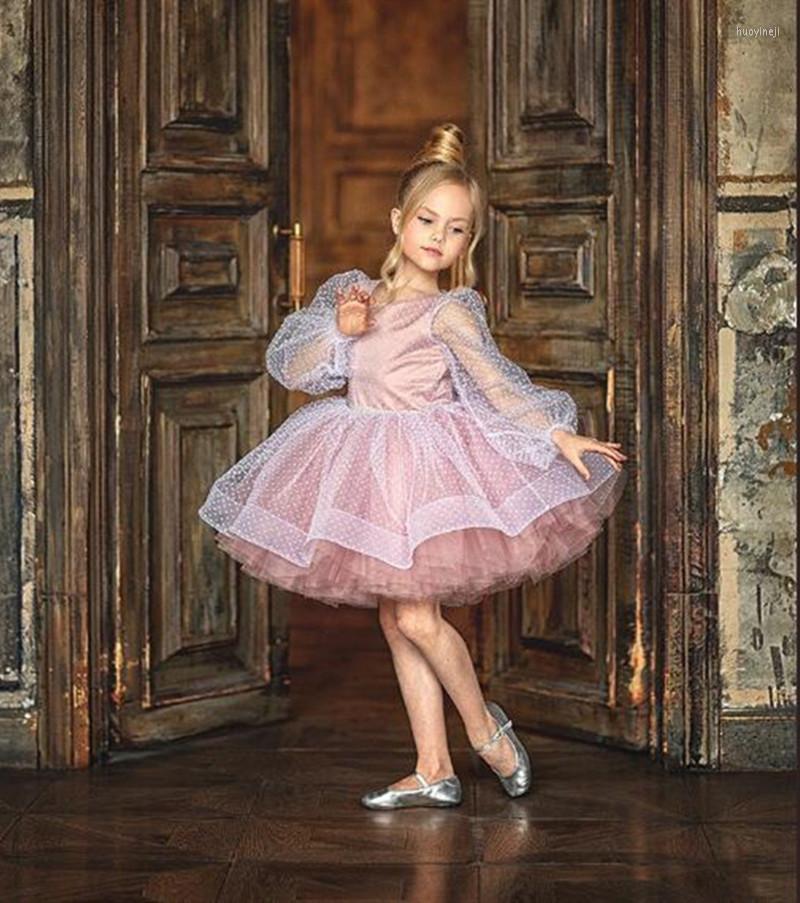 Girl Dresses Full Sleeve Knee Length Flower Dress Dotted Tulle Zipper Back Fashion Birthday Party, Pink
Girl Dresses Full Sleeve Knee Length Flower Dress Dotted Tulle Zipper Back Fashion Birthday Party, Pink
