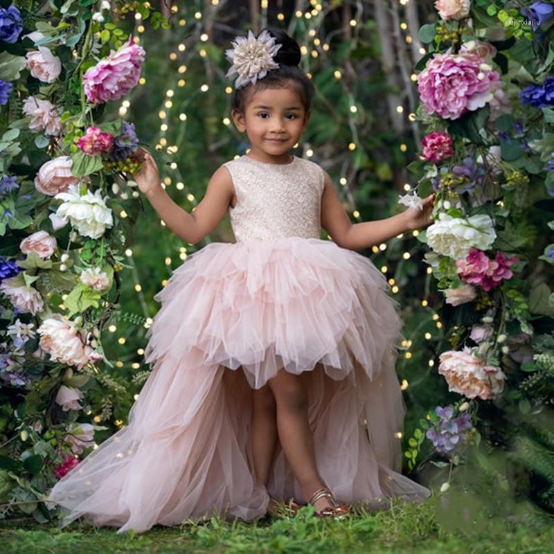 Girl Dresses Delicate Princess Flower Dress High-low Styled Tulle Skirt Birthday Party Pageant Gown Multi-tiered Train, Pink
Girl Dresses Delicate Princess Flower Dress High-low Styled Tulle Skirt Birthday Party Pageant Gown Multi-tiered Train, Pink