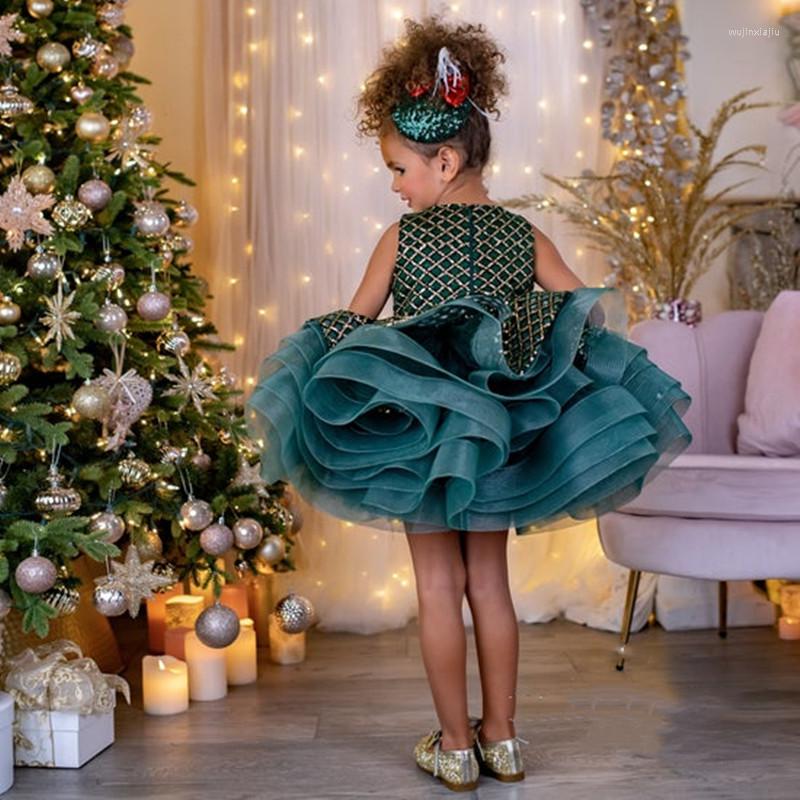 Girl Dresses Ball Gown Party Puffy Layers Organza Birthday Dress Kids Christmas Robe De Princesse, Green
Girl Dresses Ball Gown Party Puffy Layers Organza Birthday Dress Kids Christmas Robe De Princesse, Green