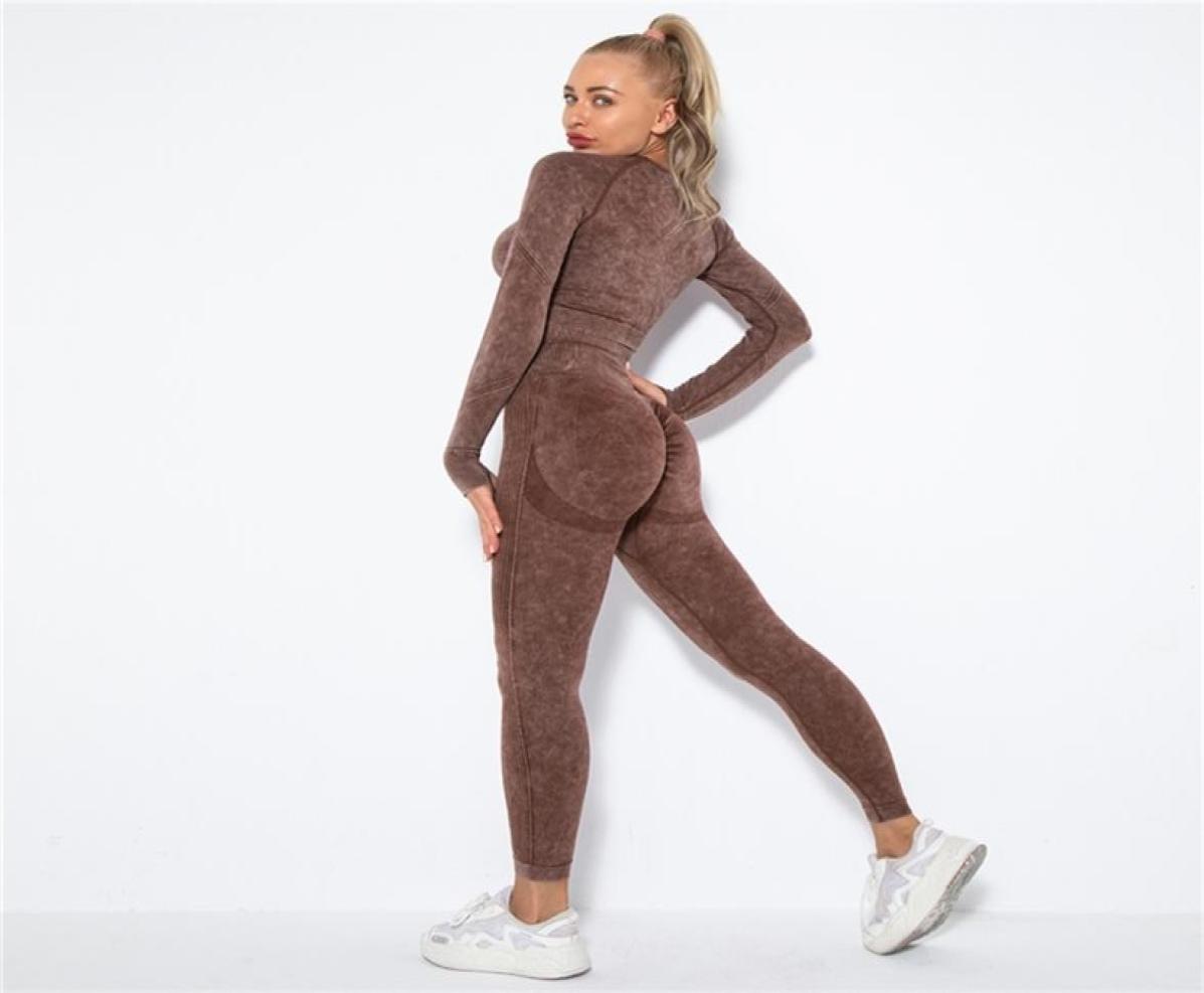 Women Seamless Yoga Set Fitness Sports Suits Gym Clothing Long Sleeve Crop Top Shirts High Waist Running Leggings Workout Pants 226514707, Orange
Women Seamless Yoga Set Fitness Sports Suits Gym Clothing Long Sleeve Crop Top Shirts High Waist Running Leggings Workout Pants 226514707, Orange