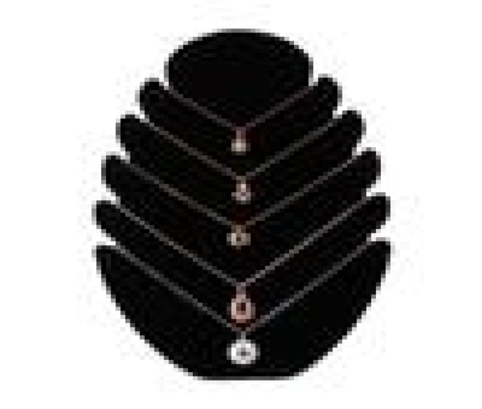 New Necklace Jewelry Velvet Stand Chain Holder Tray Organizer Show Display Rack Jewelry Accessories display81255485
New Necklace Jewelry Velvet Stand Chain Holder Tray Organizer Show Display Rack Jewelry Accessories display81255485