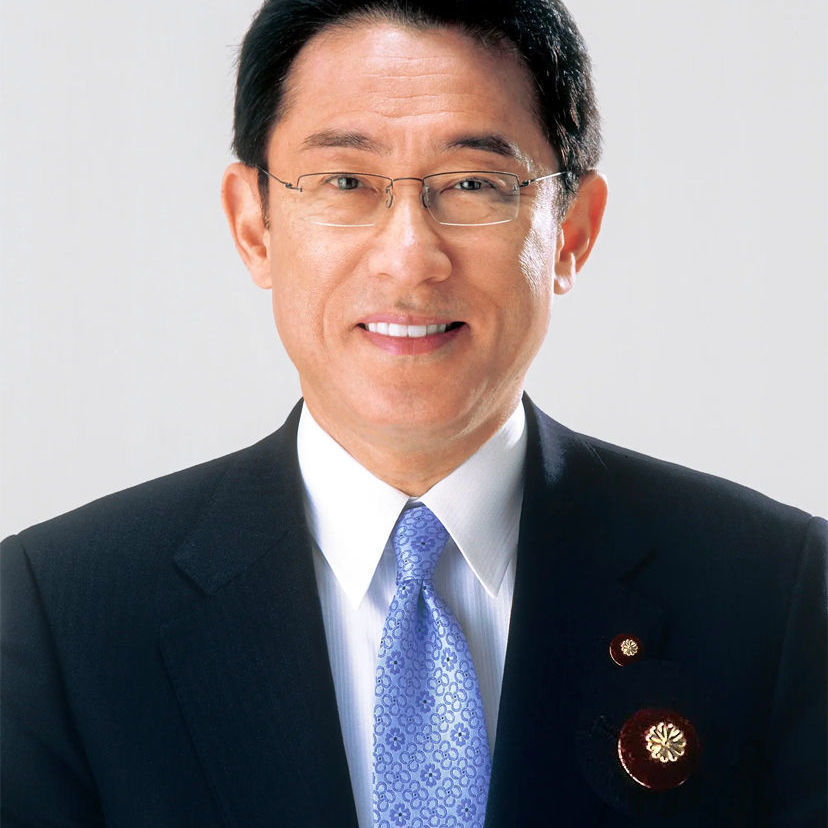 Pins Brooches Japanese Congressman Brooch Pin Insignia Chest Badges Decor Clothing Lightweight Jewelry Accessories 230531