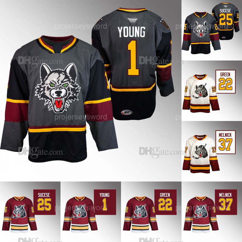 Chicago Wolves 30th Season 2023-24 AHL Jersey 1 Wendell Young 11 Steve Maltais 20 Cavan Fitzgerald 22 Alex Green 25 Nate Sucese 37 Josh Melnick Custom Hockey Jerseys