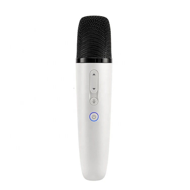 Microphones Puremic Wireless Microphone With Receiver Special For BYD Vision Original sale 231204