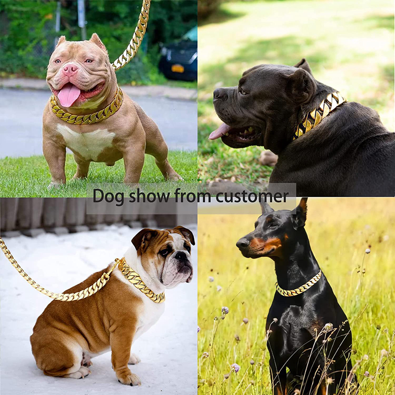 Big Chain Collars 32MM Thick Dog Cuban k Strong Metal Collar with Buckle Solid 316L Stainless Steel Gold Pet Necklet for Large Dogs 20in B155