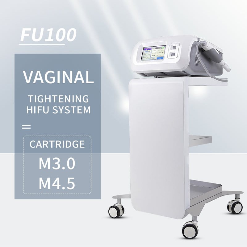 Hifu High Intensity Focused Ultrasound Hifu 10000 Shots Vaginal Machine 3.0mm 4.5mm For Vaginal Tightening Woman Private Care