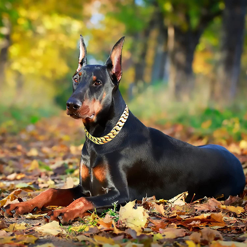 Big Chain Collars 32MM Thick Dog Cuban k Strong Metal Collar with Buckle Solid 316L Stainless Steel Gold Pet Necklet for Large Dogs 20in B155
