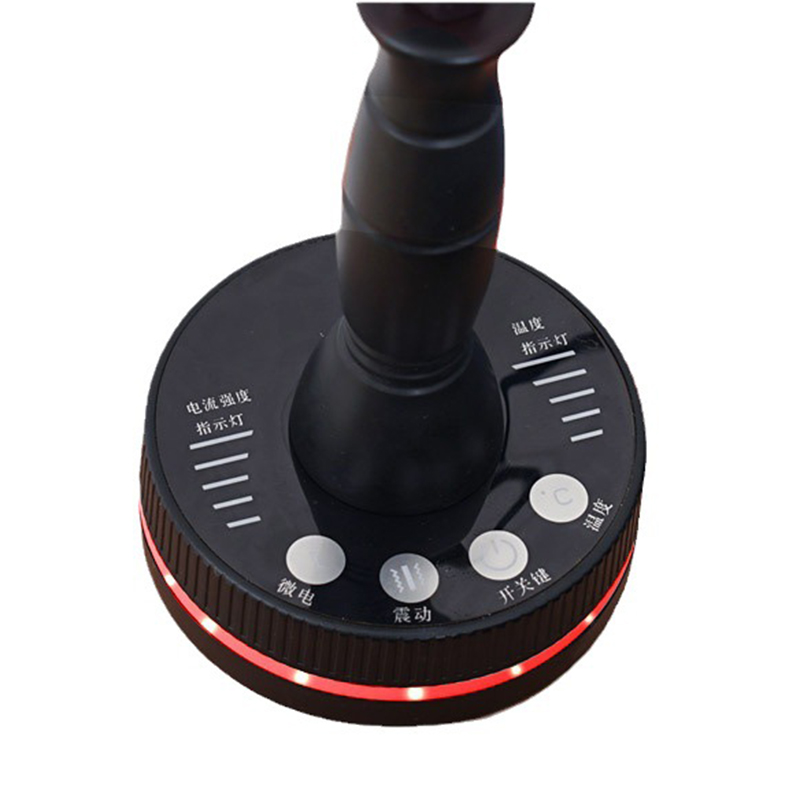 EMS Meridian Brush Microcurrent Vibration Red Light Infrared Heating Therapy Anti Cellulite Body Slimming Guasha Massager Lymphatic Dredging Physiothe