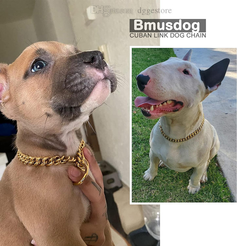 Gold 10MM Cuban k Dog Stainless Steel Metal Silp Chain Collar Heavy Duty Chew Proof Walking (10") 5 Color Wholesale B210
