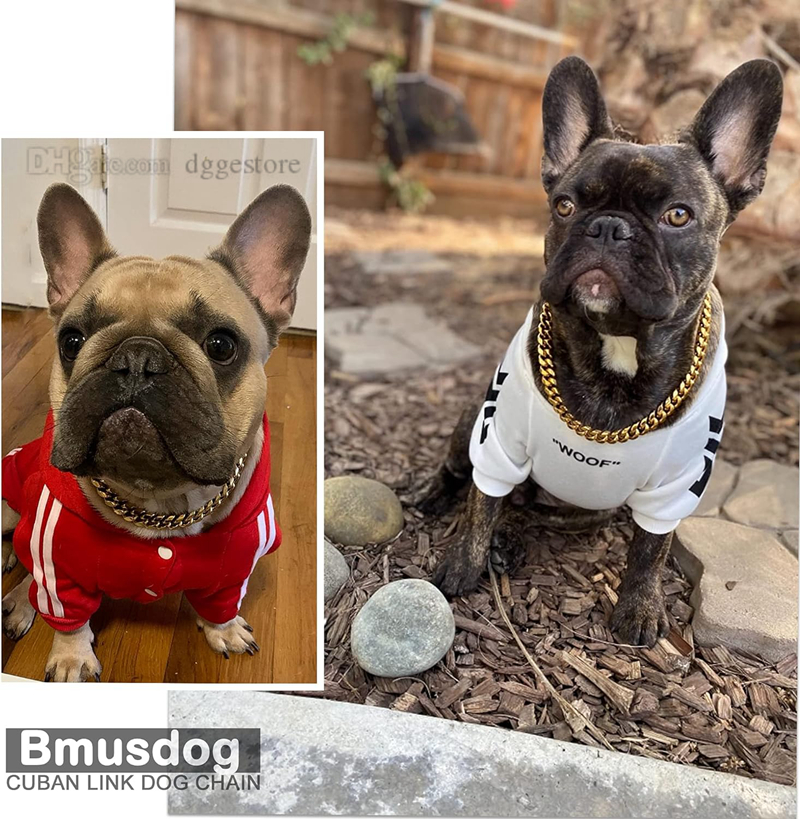 Gold 10MM Cuban k Dog Stainless Steel Metal Silp Chain Collar Heavy Duty Chew Proof Walking (10") 5 Color Wholesale B210