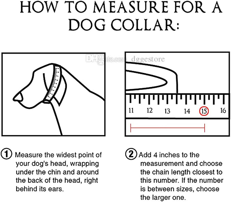 Pet collars dog collars stainless steel metal training collars suitable for small and medium-sized large dogs to wear