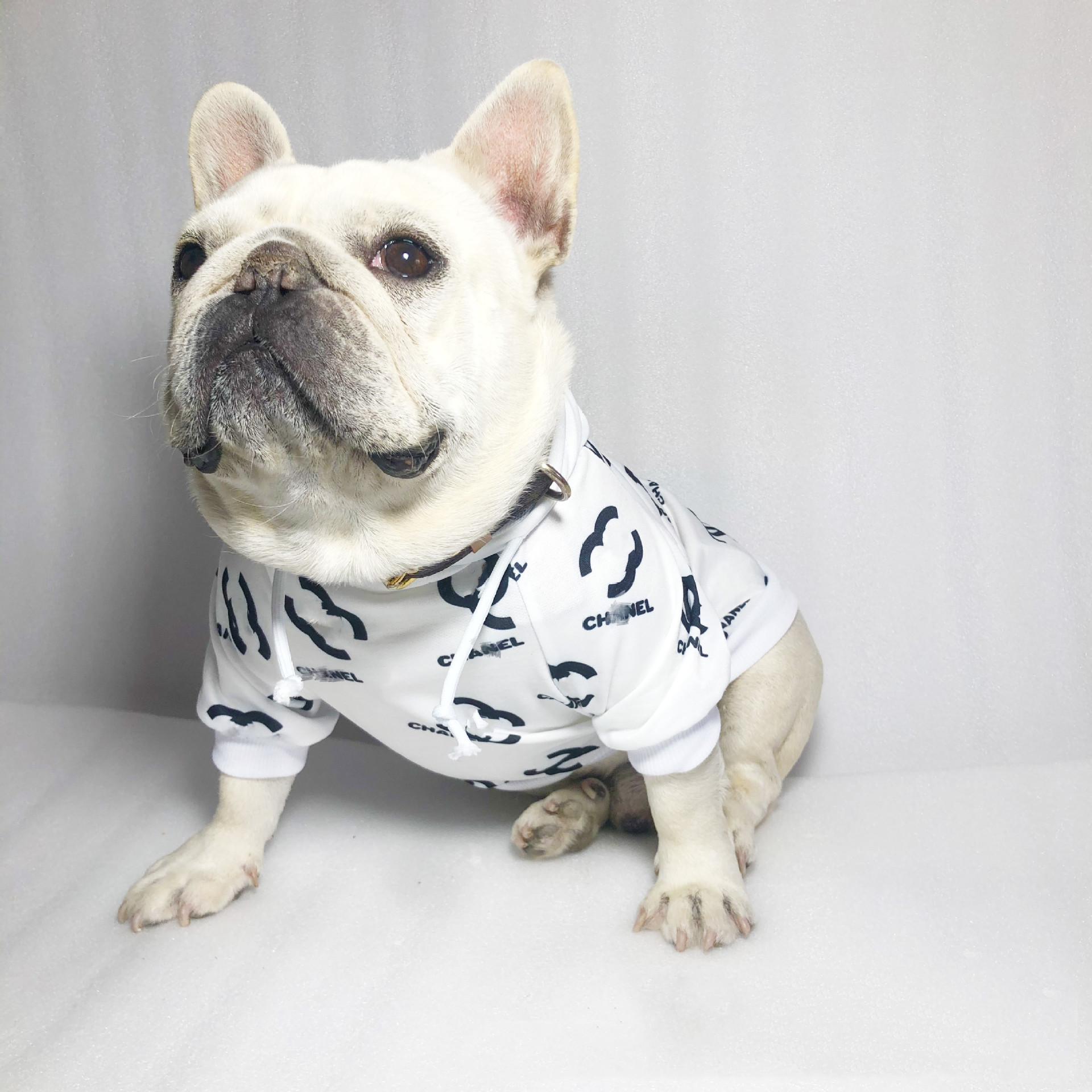 Dog black and white pure cotton hoodie designer letter logo brand pet clothing dog cat hoodie Dog Apparel efb