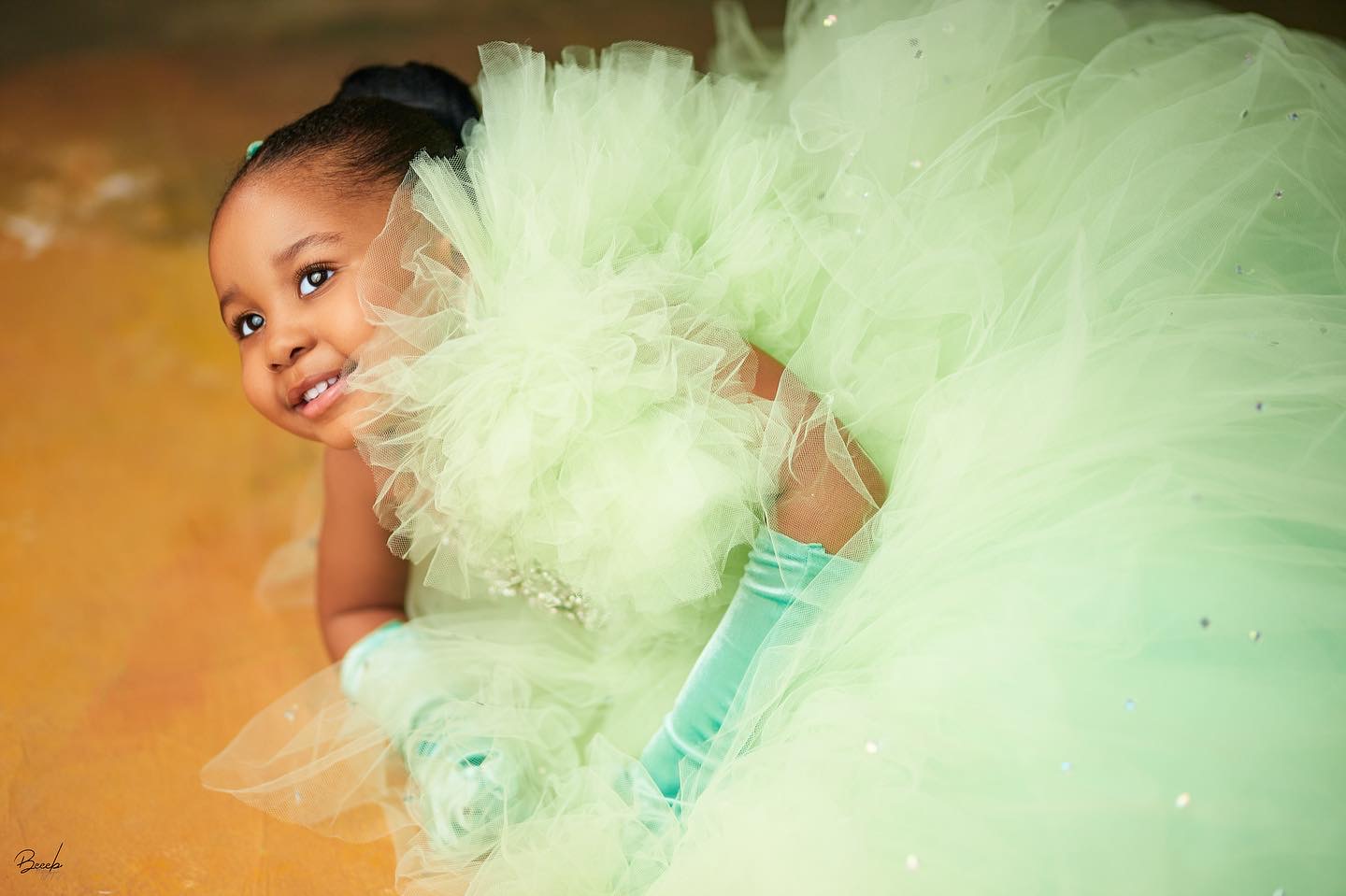 2023 Mint Crystals Flower Girl Dresses Ball Gown Tulle Beaded Flower Vintage Little Girl Peageant Birthday Christening Dress Gowns ZJ419