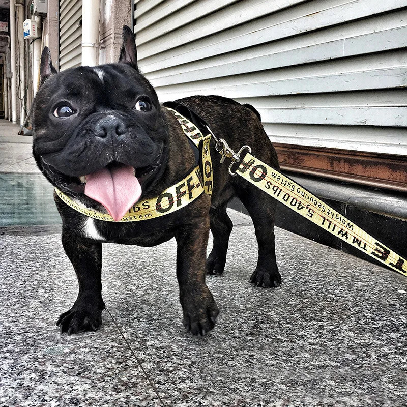 Collars Leashes Dog Collar And Leash Set Fashion Gold Chain Nylon Long Rope Lettered Perro For Pitbull Puppy 231212 Essential Pet Supplies