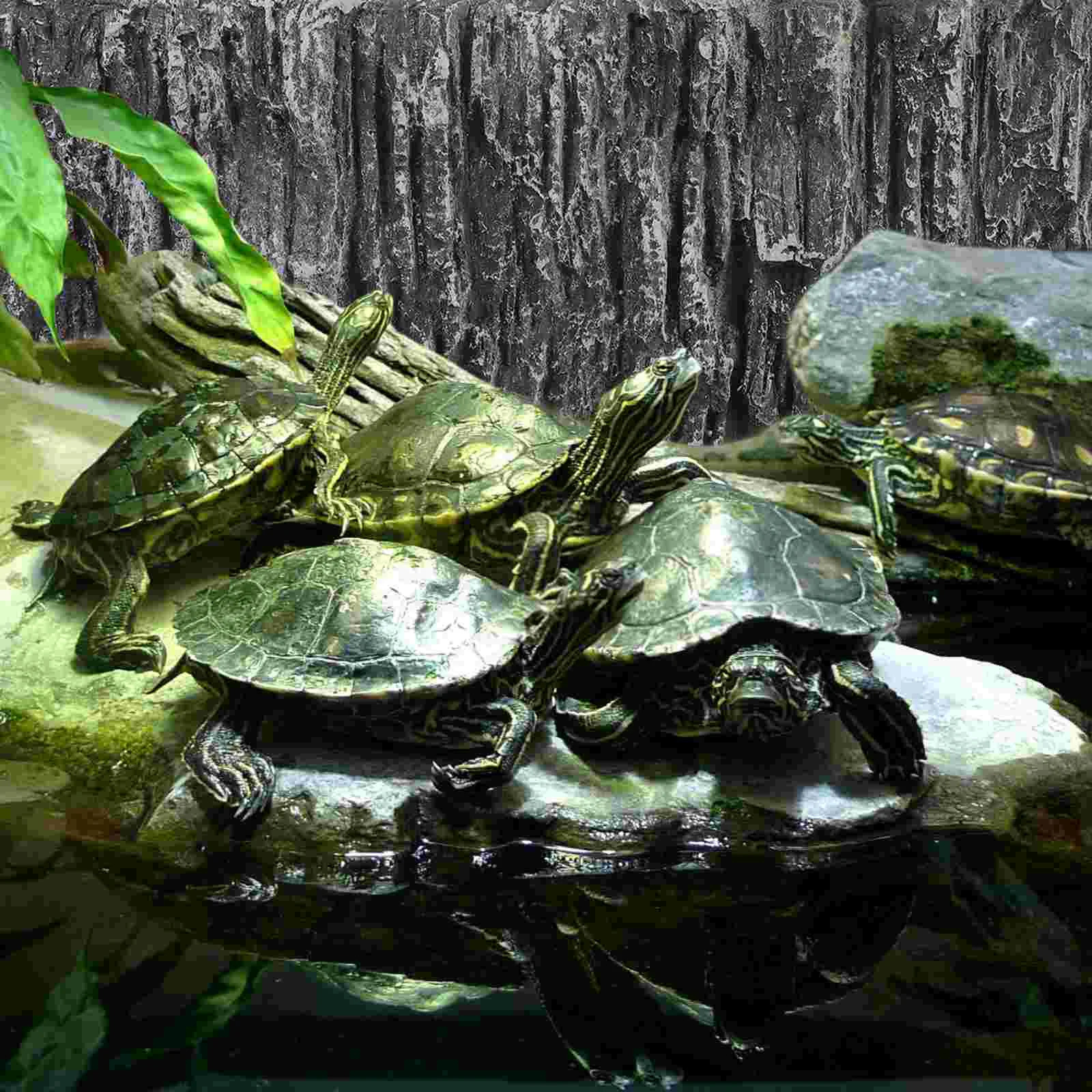 Coral Background Rock Slab 3d Aquarium Snake Habitat Decoration Terrarium Glass Containers Fish Tank Decorative Pu Boards 231211