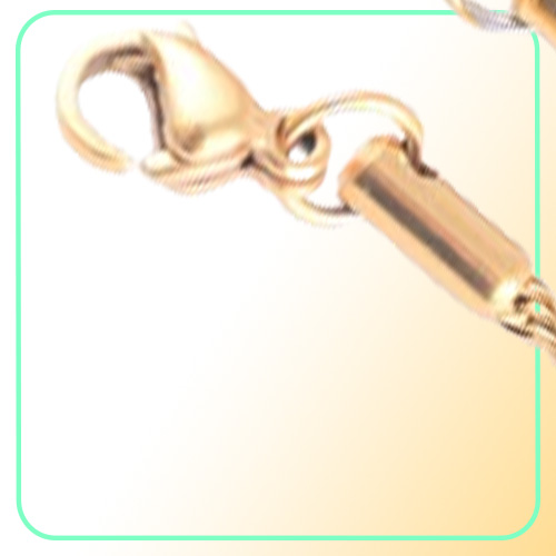 High Quality Gold Plated Rope Chain Stainless Steel Necklace For Women Men Golden Fashion ed Rope Chains Jewelry Gift 2 3 4 5