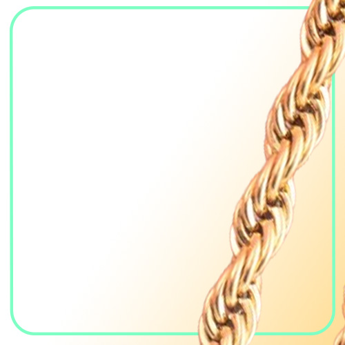 High Quality Gold Plated Rope Chain Stainless Steel Necklace For Women Men Golden Fashion ed Rope Chains Jewelry Gift 2 3 4 5