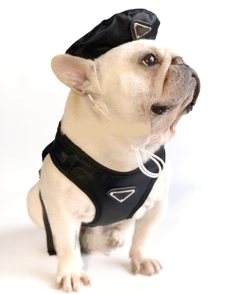 Dog Clothes Apparels Designer Dog Winter Coat Warm Waterproof Windproof Pet Vest Cold Weather Puppy Jacket with Hats for Small Medium Large 002