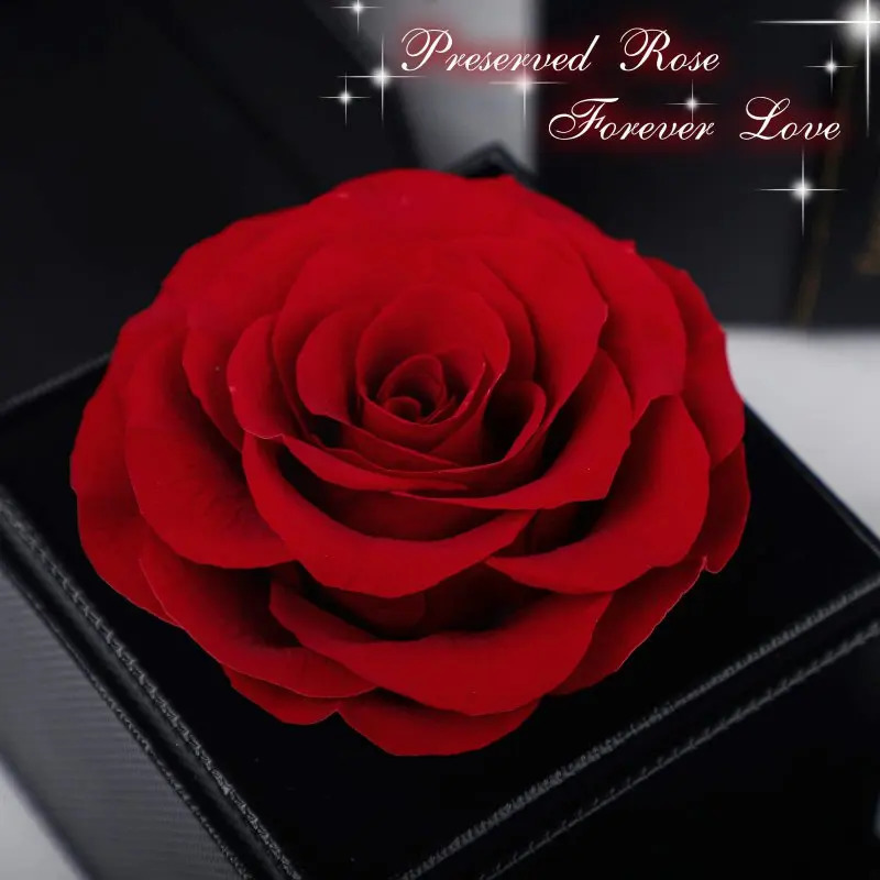 Jewelry Boxes Preserved Rose with Gift Box Eternal Rose Box Gifts for Her Mom Grandma Wife Daughter Women Xmas Valentine's Day Birthday 231219