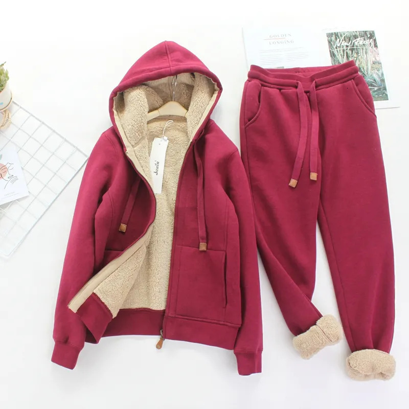 Simple Fashion Sports Casual Suit Women's Autumn Winter Artificial Lamb Wool and Velvet Thickened Hooded Short Coat Sports Pants 231221