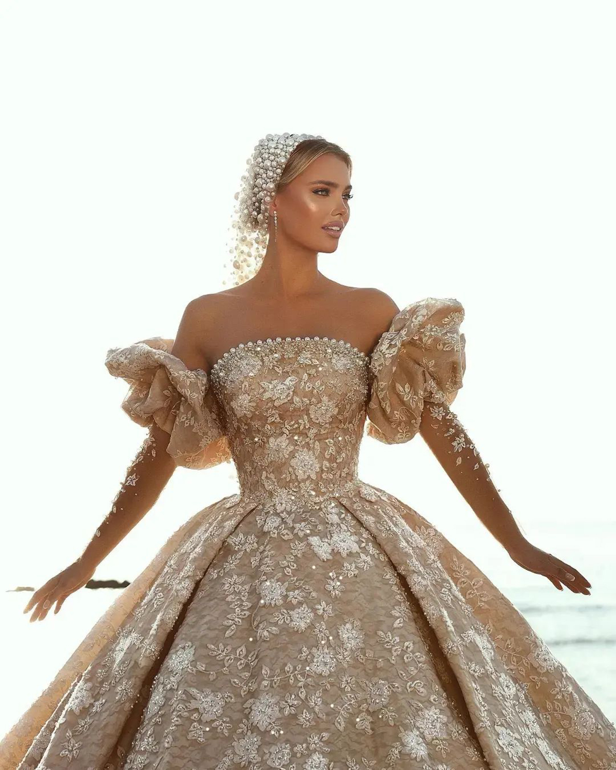 Shine 3D-Lace A-Line Wedding Dress With Flower Pearls Bateau Neck Puff sleeve Ball Gown Plus Size Brush Train Bridal Gowns Dress Customized D-H23818