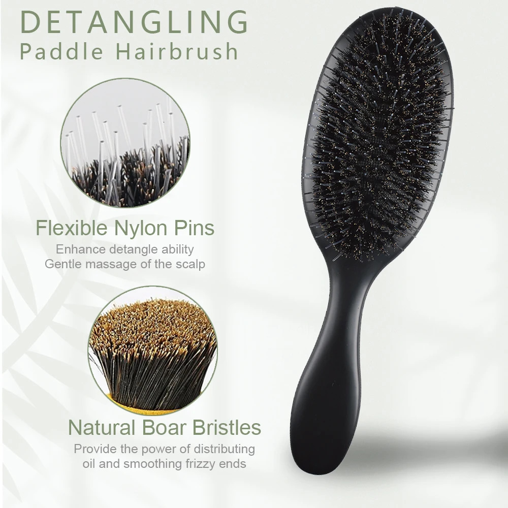 Boar Bristle Hair Brush Nylon Teeth for Women Girl Matte Cushion Styling Smoothing Detangling 231225