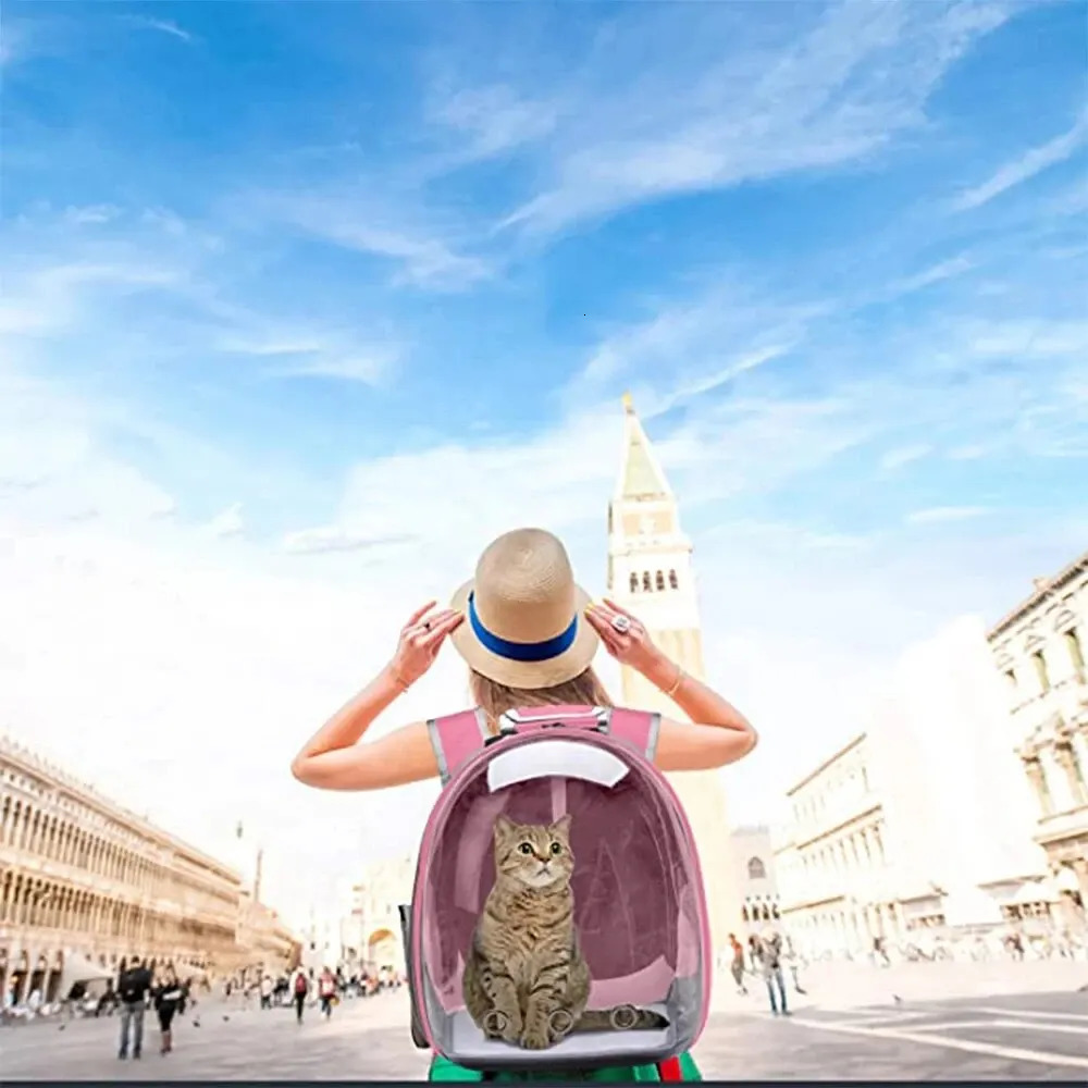 Cat Pet Backpack Transparent Capsule Bubble Small Animal Puppy Kitty Bird Breathable for Travel 231226