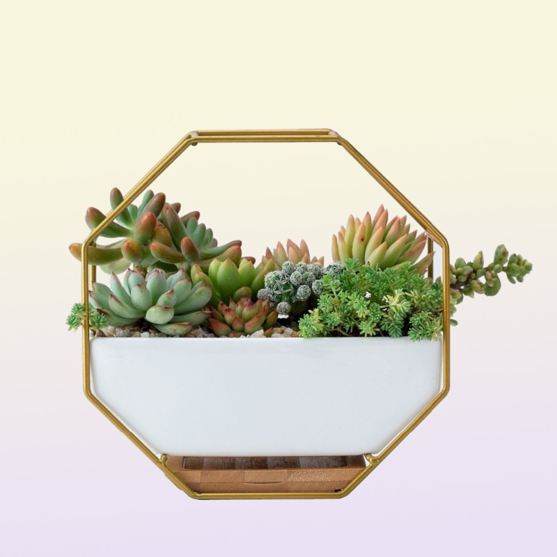 Hanging Succulent Flower Pots Ceramic Flowerpots Stand Holder Black Gold Iron Rack Bamboo Tray Desktop Geometric Cactus Planter Y28145728