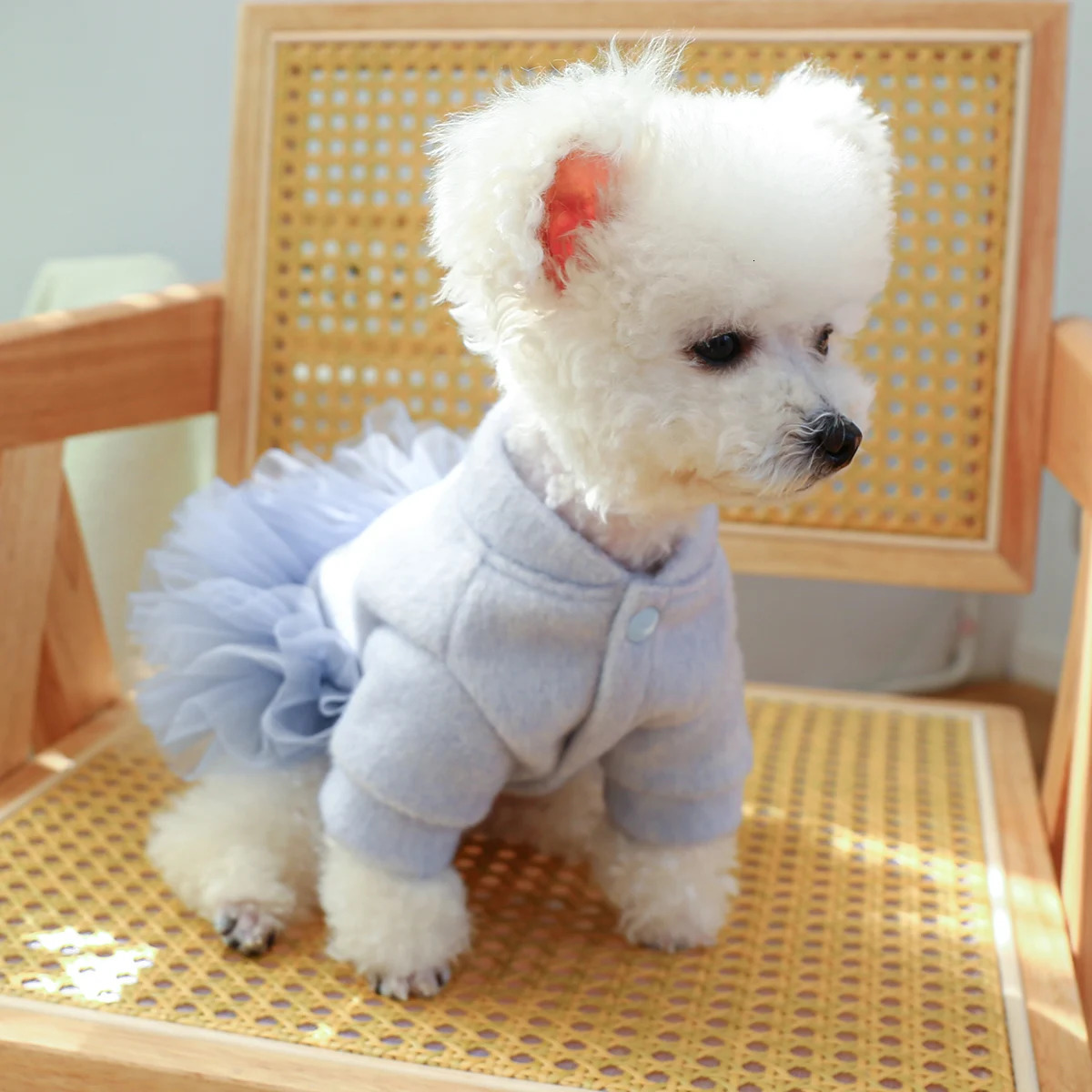 1PC Pet Clothing Dog Autumn and Winter Thickened Princess Dress With Drawstring Buckle For Small Medium Dogs 231226 H260130