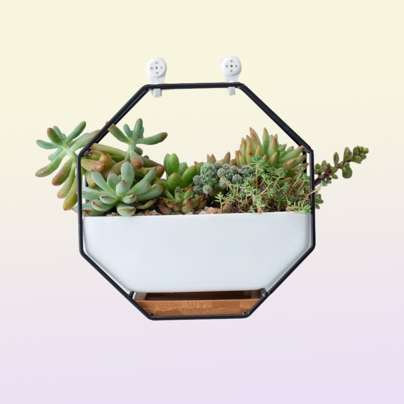 Hanging Succulent Flower Pots Ceramic Flowerpots Stand Holder Black Gold Iron Rack Bamboo Tray Desktop Geometric Cactus Planter Y28145728